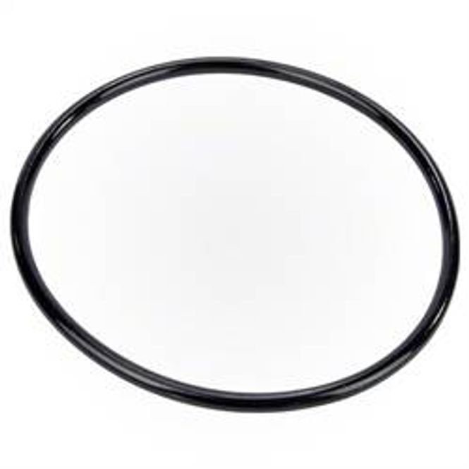 Hovedbilde Pumpe Pentair WHISPERFLO, O-Ring Lokk  