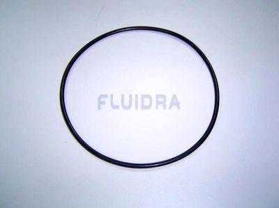 Motstrømsanlegg Astral  -  Pumpe O-Ring ø124x3.5mm  