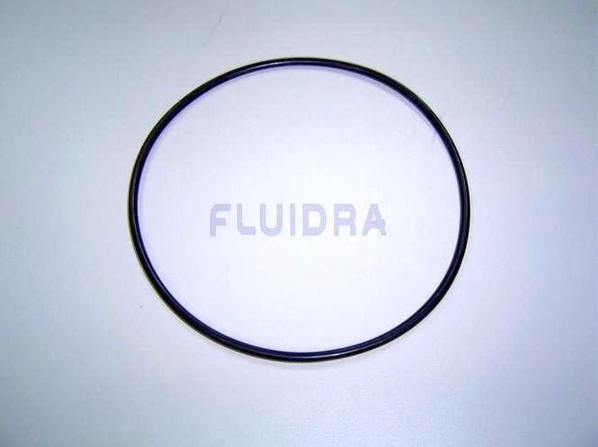 Hovedbilde Motstrømsanlegg Astral  -  Pumpe O-Ring ...