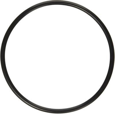 Filtersystem PENTAIR Triton O-Ring Gammel 6